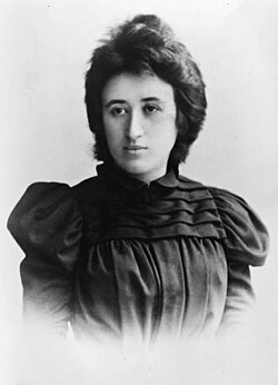 Mass and leaders,Rosa Luxemburg